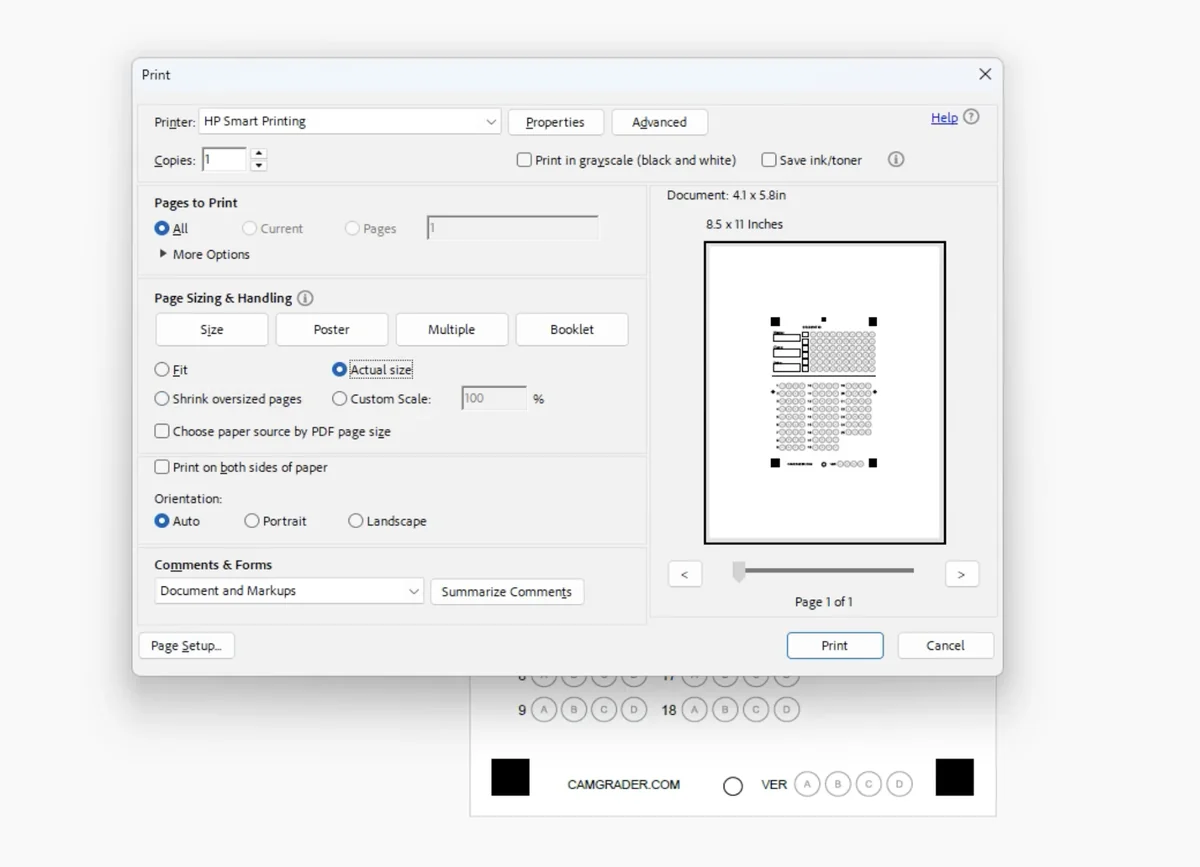 Print dialog with the sheet preview and scale options